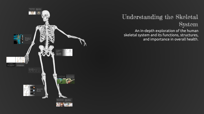 Understanding the Skeletal System by Annabella Rainey on Prezi