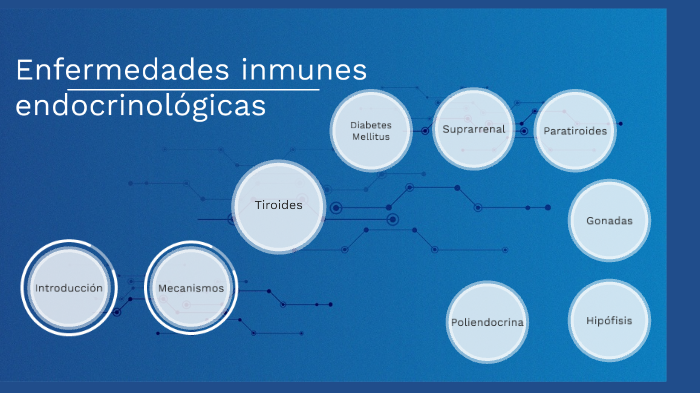 células T citotóxicas y diabetes tipo 1 células T citotóxicas y diabetes tipo 1
