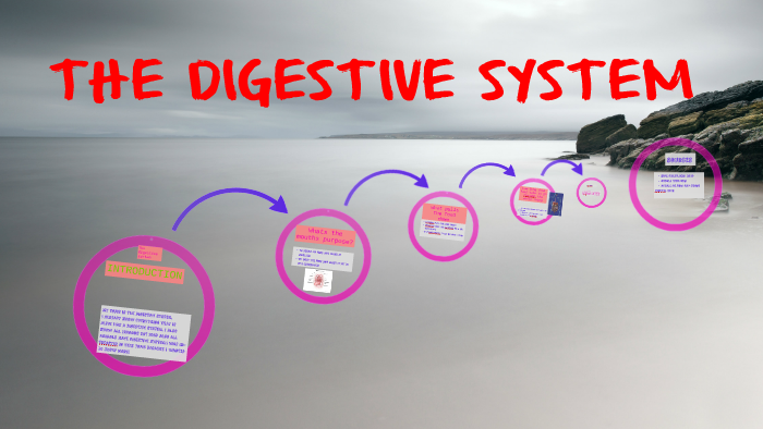 THE DIGESTIVE SYSTEM by Lily S on Prezi