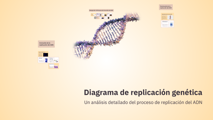 Diagrama de replicación genética by CAROLINA HERNANDEZ RAMOS on Prezi
