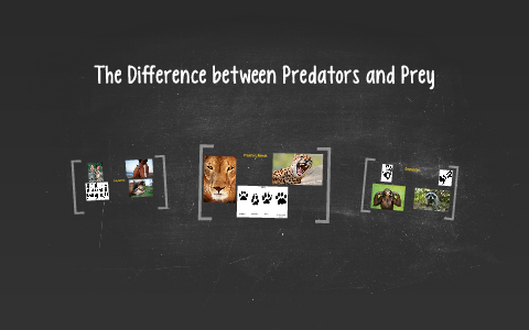 The Difference between Predators and Prey by Emily Dewey on Prezi