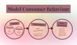 Model Consumer Behaviour by Irra Concepcion