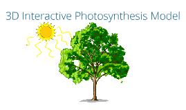 3d Photosynthesis Project Pre Ap By Jeana Parker