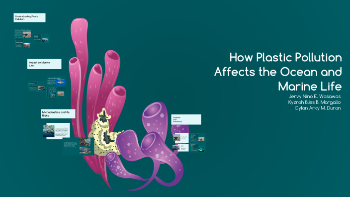 How Plastic Pollution Affects the Ocean and Marine Life by Dylan Nino W ...