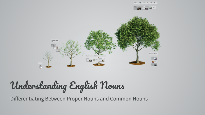 Understanding English Nouns by Chandni Gulati on Prezi