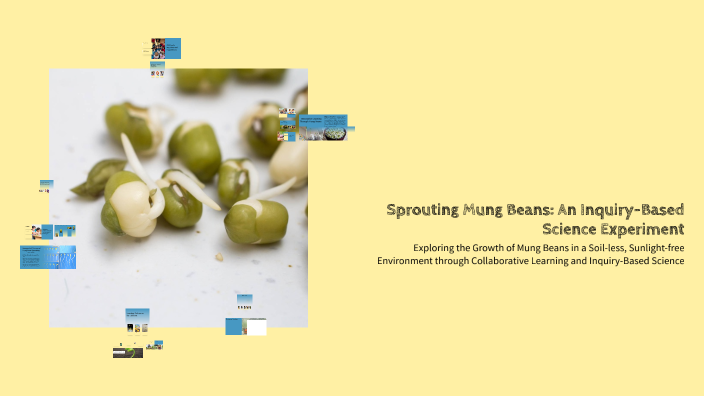 Sprouting Mung Beans: An Inquiry-Based Science Experiment by Catherine ...