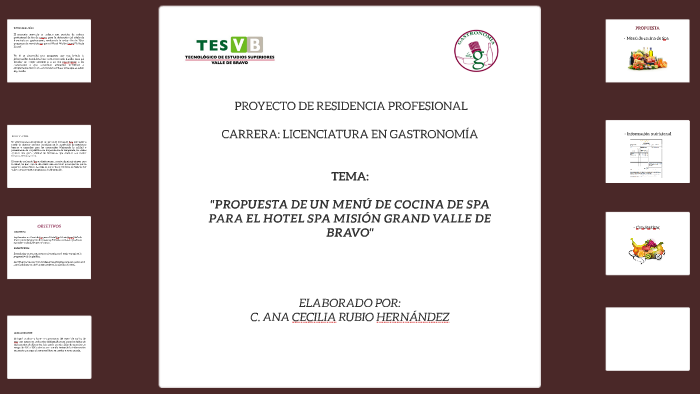 PROYECTO DE RESIDENCIA PROFESIONAL by Ceci Hdez on Prezi