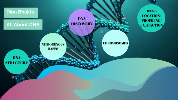 All About DNA Mini Project by BHAKTA DINA on Prezi