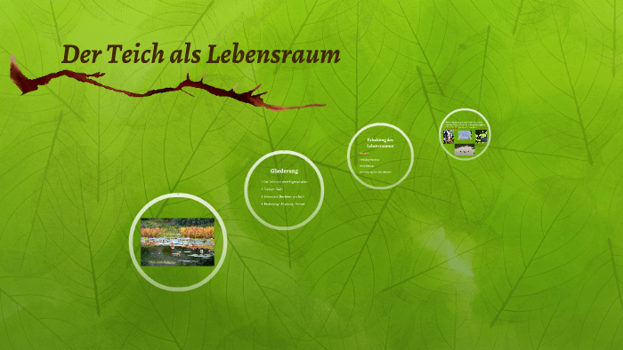 Der Teich als Lebensraum by Agusgreta mc donald on Prezi