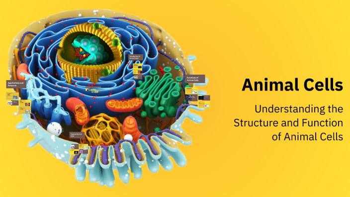 Animal Cells by veronica meza on Prezi