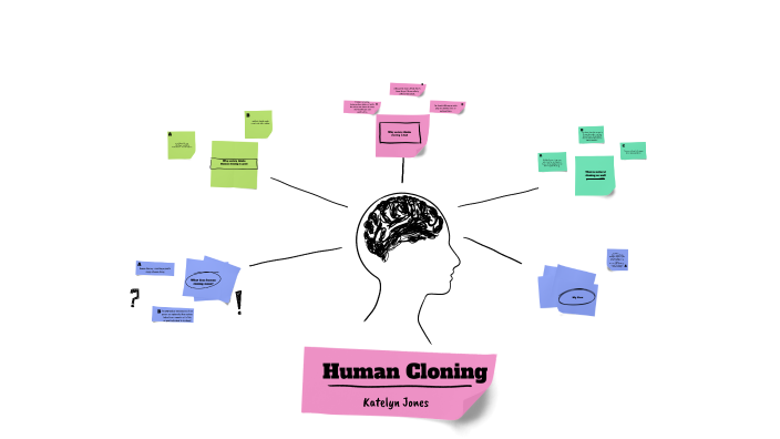 Human Cloning PBM by Katelyn Jones on Prezi