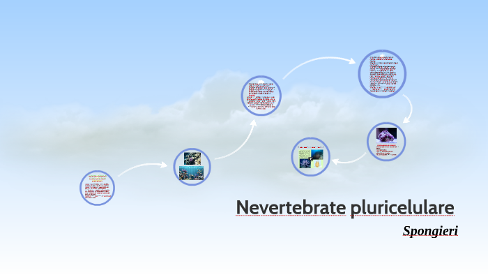 Nevertebrate pluricelulare by Oana Georgiana on Prezi Next