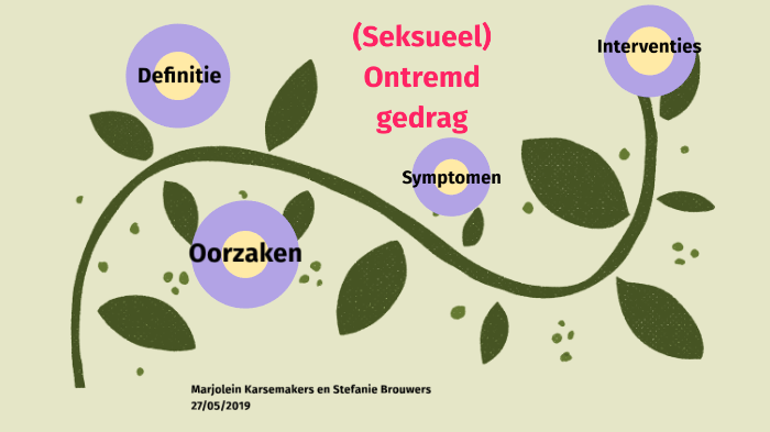 Omgaan Met Onbegrepen Gedrag By Stefanie Ronde On Prezi