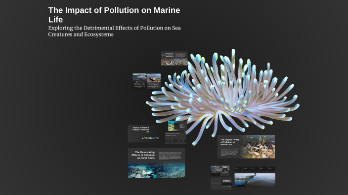 The Impact of Pollution on Marine Life by Kambaiz Amire on Prezi