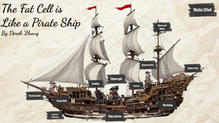 Fat Ship The fat cell is like a pirate ship By Derek Zhang by derek zhang on Prezi