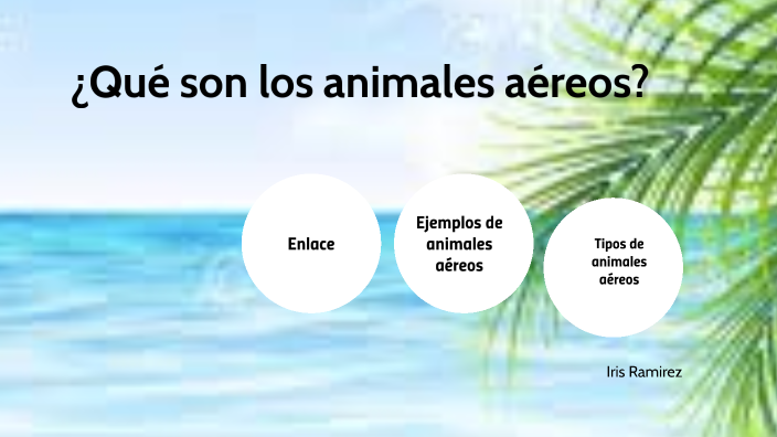 ¿Qué son los animales aéreos? by Elizabeth Flores on Prezi