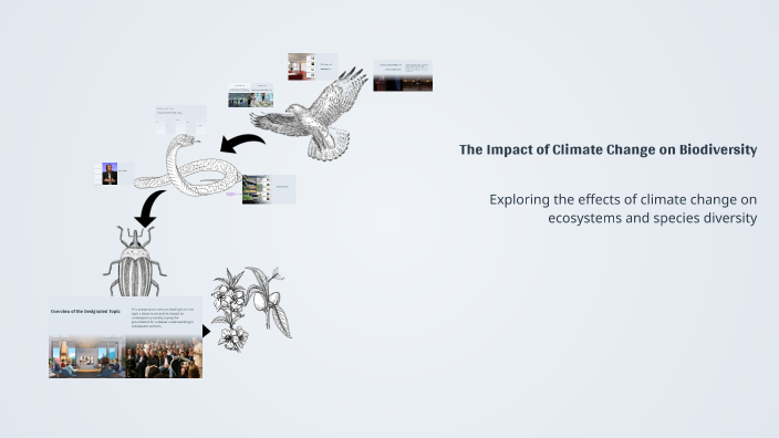 The Impact of Climate Change on Biodiversity by Halima Elahi on Prezi