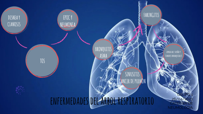 ENFERMEDADES DEL ARBOL RESPIRATORIO by Joseph J on Prezi