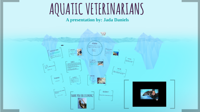 AQUATIC VETERINARIANS by Jada Daniels