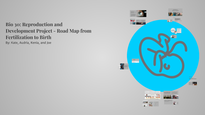 Bio 30: Reproduction and Development Project - Road Map from ...