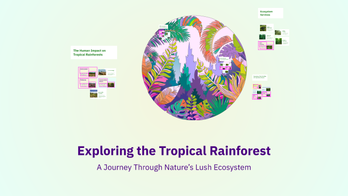 Exploring the Tropical Rainforest by Jaica Francisco on Prezi