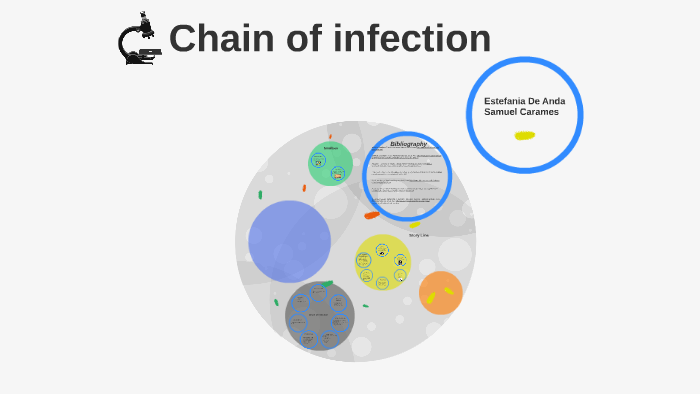 Chain of infection by estefania de anda caballero on Prezi