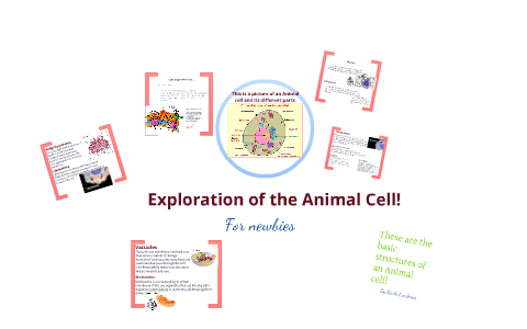 Animal cell presentation by Karla Cardenas on Prezi