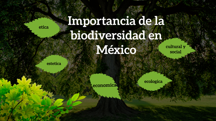 Importancia De La Biodiversidad En México By Marina Caballero On Prezi