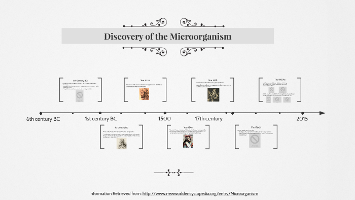 Timeline Of Microbiology By Hannah Mattson