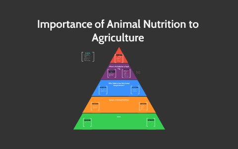 Importance of Animal Nutrition to Agriculture by Rachel Longan