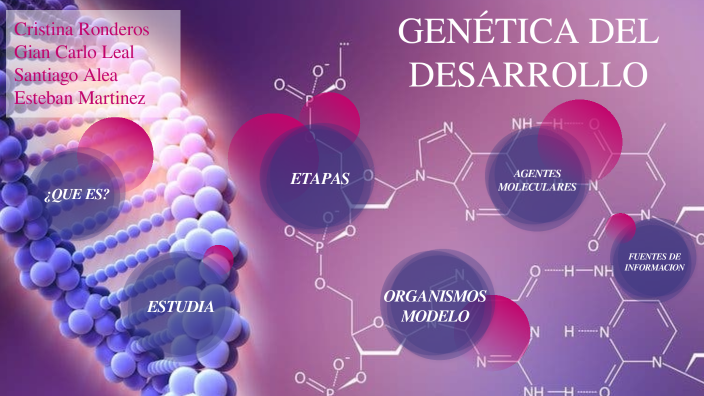 Genetica del Desarrollo by Cris Ronde on Prezi