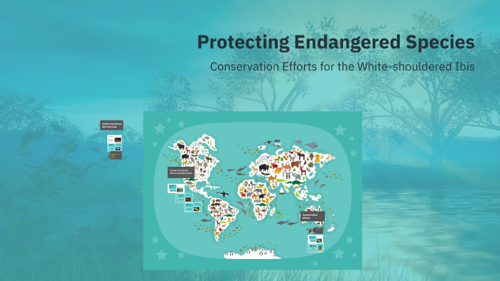 Protecting Endangered Species by Nhược Thủy Cố on Prezi