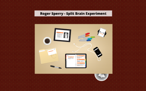 split brain thought experiment