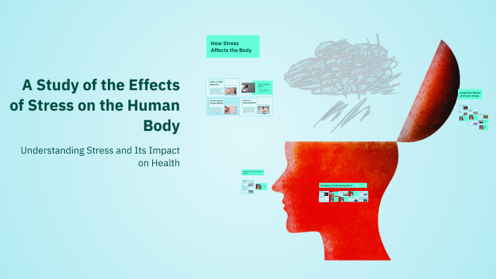 A Study of the Effects of Stress on the Human Body by afsana begum on Prezi