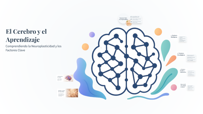 El Cerebro y el Aprendizaje by Pongo Ocupa Marcos on Prezi