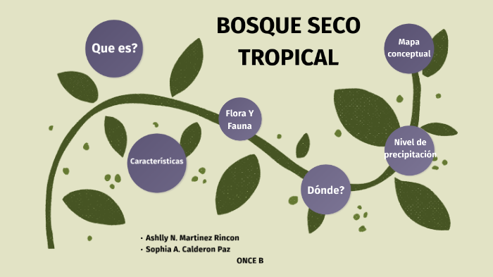 mapa del bioma del bosque seco tropical