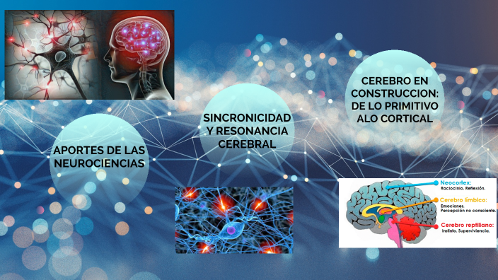 Aportaciones De La Neurociencia By Laura Flores On Prezi