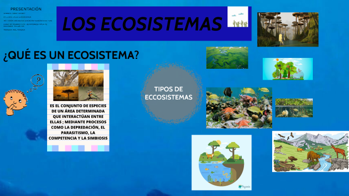 LOS ECOSISTEMAS by Danne Calle on Prezi