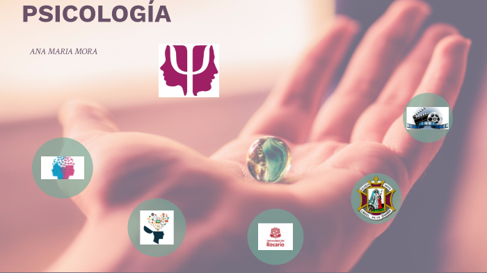PROYECTO DE GRADO by camila florez on Prezi