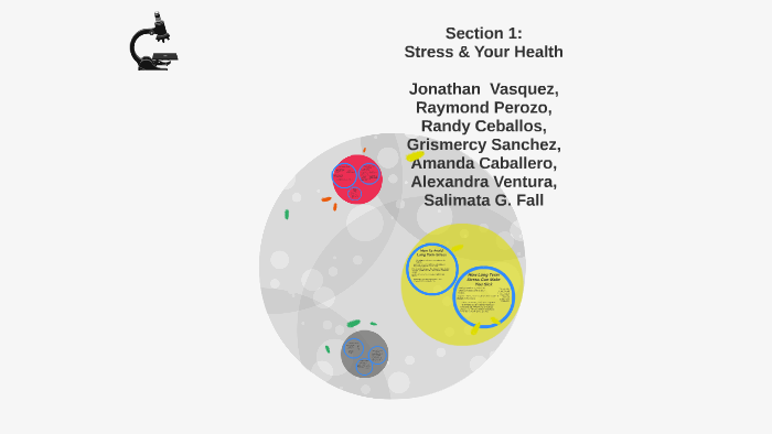 Stress & Your Health by Jonathan Vasquez on Prezi