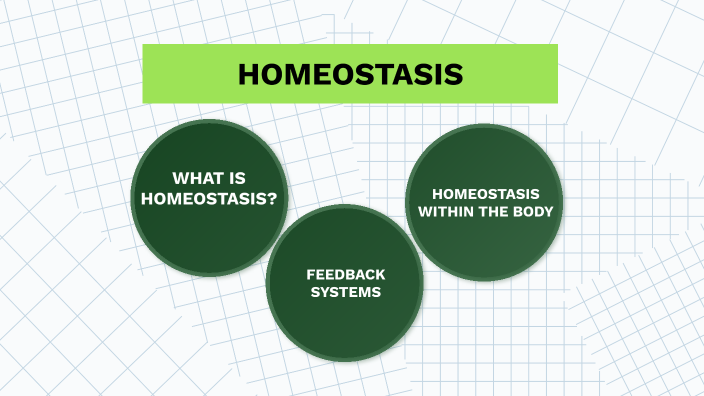 PHYSIOLOGY HOMEOSTASIS PRESENTATION by Jehadson Candelaria on Prezi