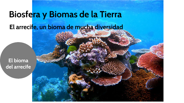 Biosfera y biomas de la Tierra by Maria Anabella Montecalvo on Prezi