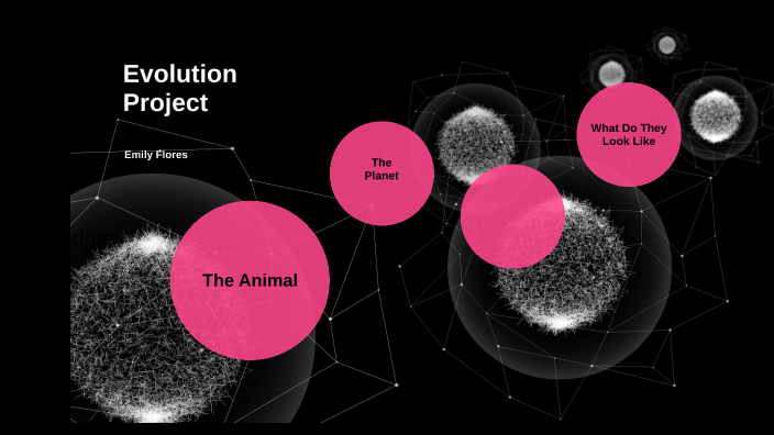 Evolution Project by Emily Flores on Prezi