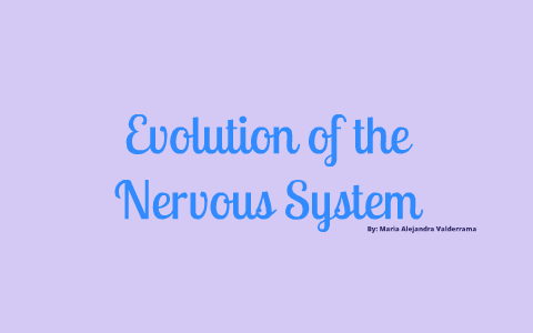 Evolution Of the Nervous System by Maria Alejandra Valderrama on Prezi