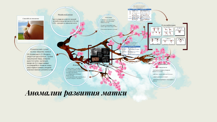 аномальные положения матки