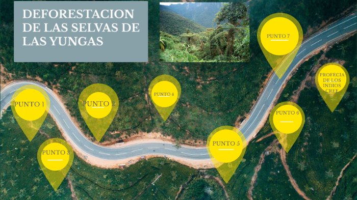 Deforestacion De La Selva De Las Yungas by joaquin JoaquinAlmagro on Prezi