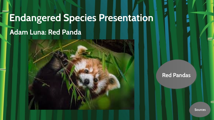 Endangered Species Presentation: by Adam Luna on Prezi