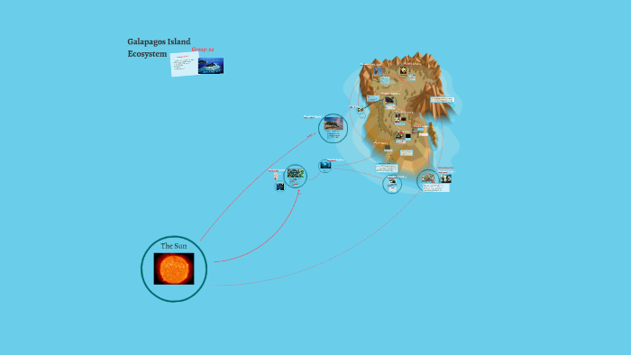 Galapagos food chain by Alayna Hutchinson on Prezi