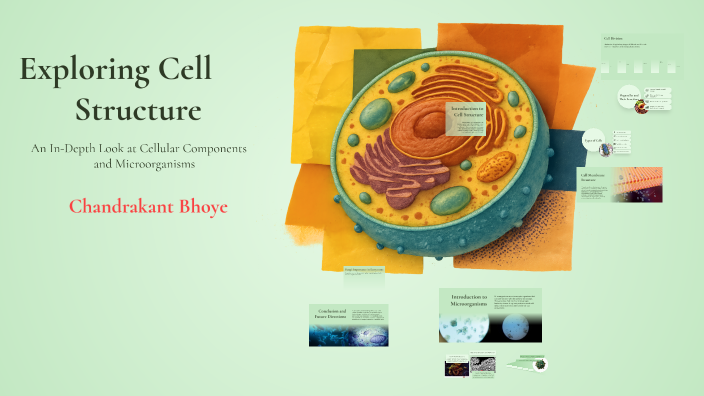 Exploring Cell Structure by ONLY GEOGRAPHY on Prezi
