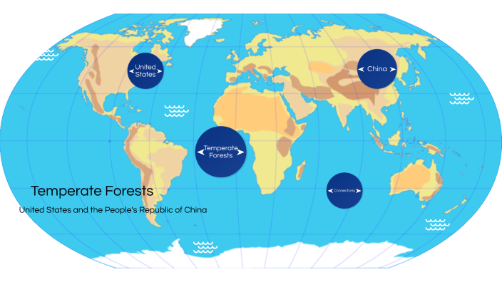 Forecast Science Project by piper Walsh on Prezi